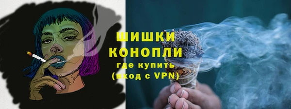 ПСИЛОЦИБИНОВЫЕ ГРИБЫ Балабаново