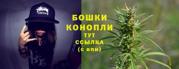 apvp Вяземский