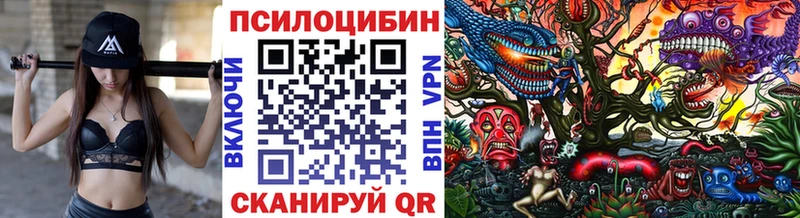мега как войти  наркота  Усинск  Галлюциногенные грибы ЛСД 